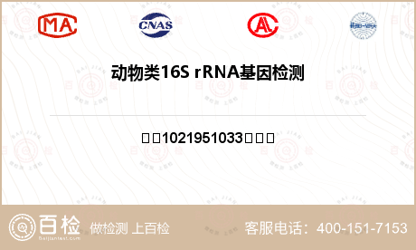 动物类16S rRNA基因检测