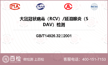 大鼠冠状病毒（RCV）/延泪腺炎