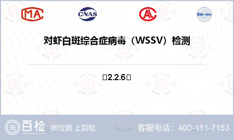 对虾白斑综合症病毒（WSSV）检