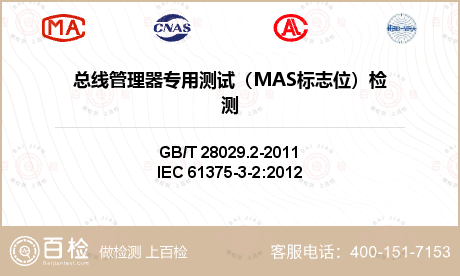 总线管理器专用测试（MAS标志位）检测