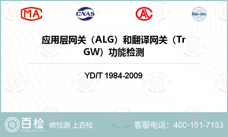 应用层网关（ALG）和翻译网关（TrGW）功能检测