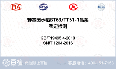 转基因水稻BT63/TT51-1