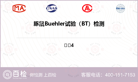 豚鼠Buehler试验（BT）检