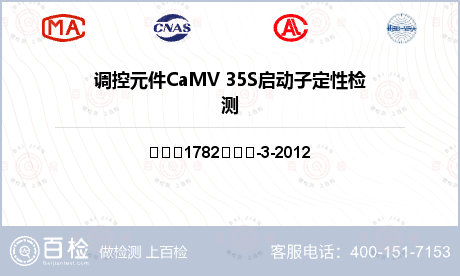 调控元件CaMV 35S启动子定性检测