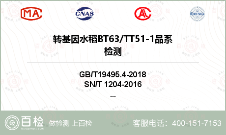 转基因水稻BT63/TT51-1
