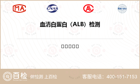 血清白蛋白（ALB）检测