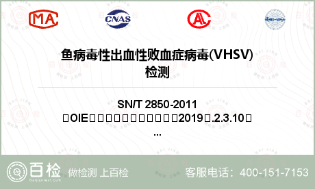 鱼病毒性出血性败血症病毒(VHSV)检测