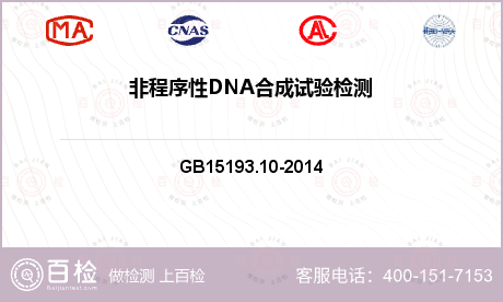 非程序性DNA合成试验检测