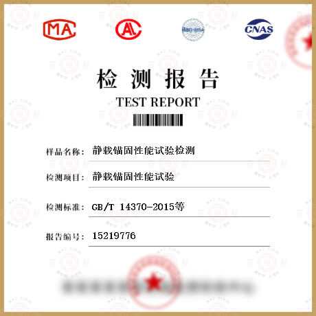 靜載錨固性能試驗(yàn)檢測(cè)